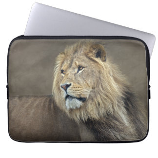 Sphinx Laptop Sleeve