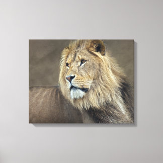 Sphinx Wrapped Canvas
