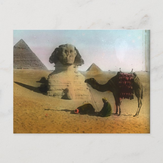 Sphnix and Pyramid Postcard (Front)