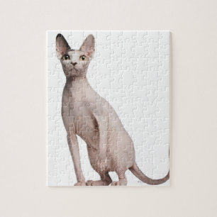 Sphynx (13 months old) jigsaw puzzle