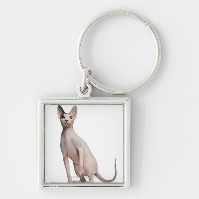 Sphynx (13 months old) key ring (Front)