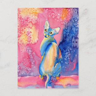 Sphynx Cat #2 Postcard