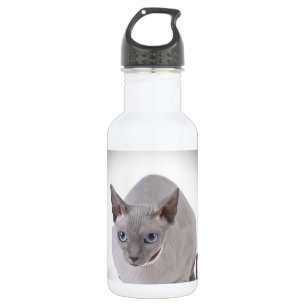 Sphynx cat 532 ml water bottle