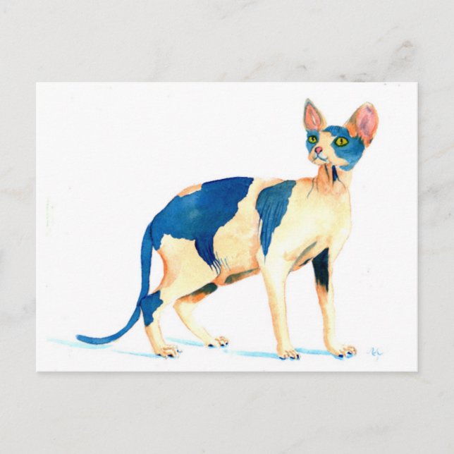 Sphynx Cat 5 Postcard (Front)