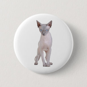 Sphynx cat 6 cm round badge