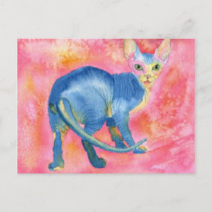 Sphynx Cat 7 Postcard