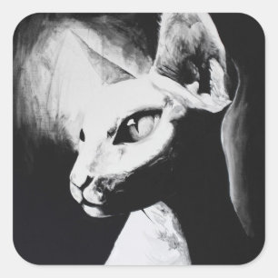 Sphynx Cat Black White Contrast Hairless Kitty Art Square Sticker