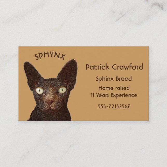 Sphynx Cat Breeder And Training Business Card (Front)