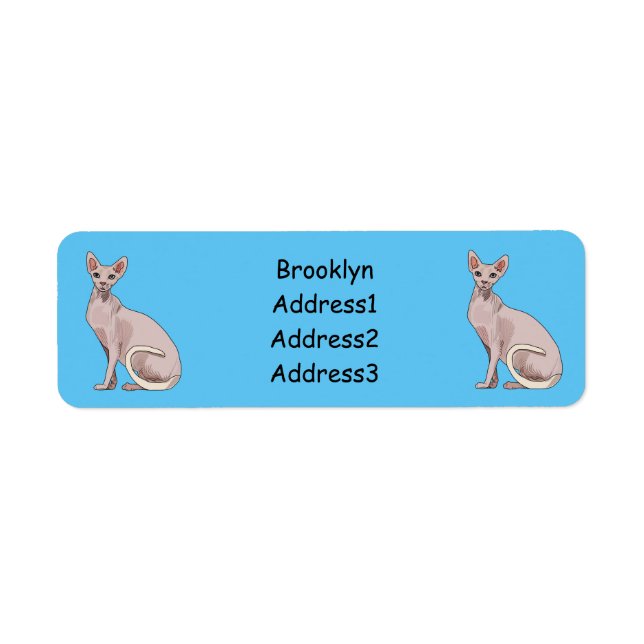 Sphynx cat cartoon illustration (Front)