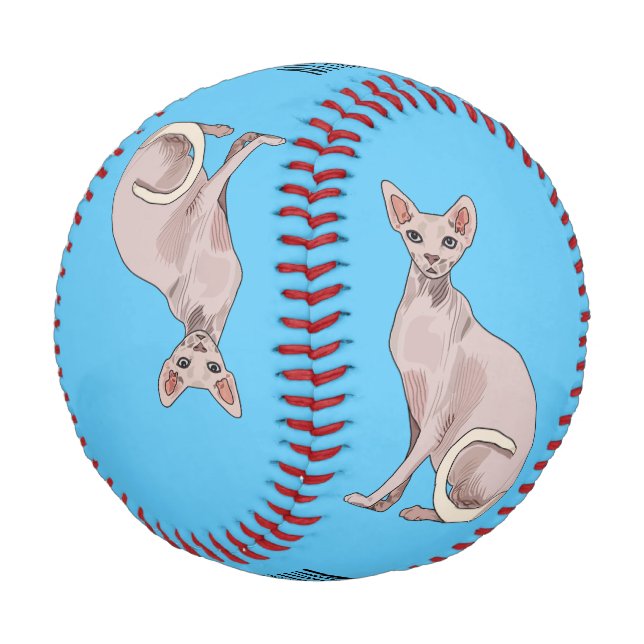Sphynx cat cartoon illustration  baseball (Angled)