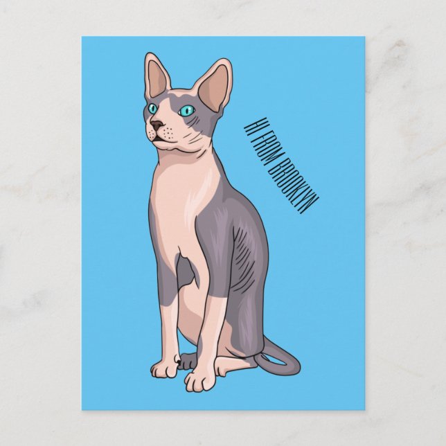 Sphynx cat cartoon illustration postcard (Front)