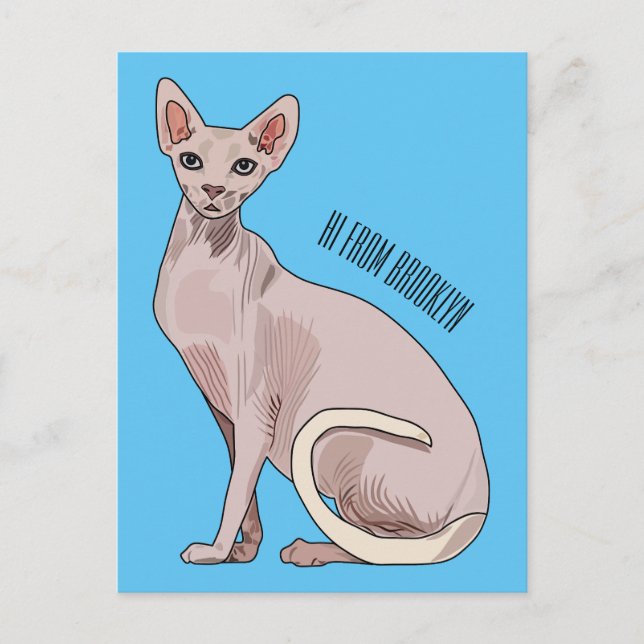 Sphynx cat cartoon illustration  postcard (Front)