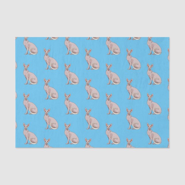 Sphynx cat cartoon illustration  tissue paper (Front)