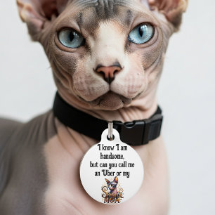 Sphynx Cat Funny  Pet Tag