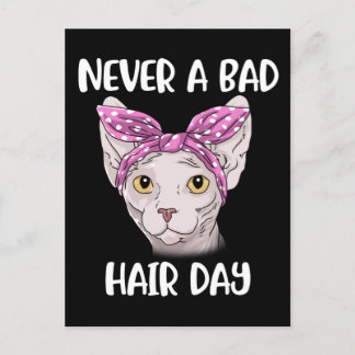 Sphynx Cat Gifts For Women And Men Sphynx Cat Postcard