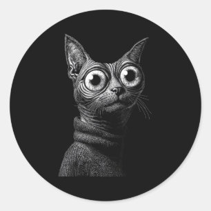 Sphynx cat in sweater funny vintage cat lovers classic round sticker