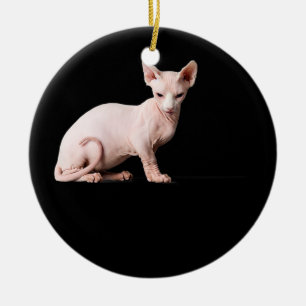 Sphynx cat lover gift for men women kids boys ceramic tree decoration