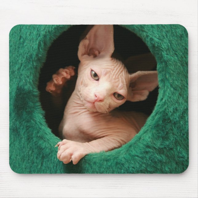 Sphynx Cat Mousepad | GoSphynx.com (Front)
