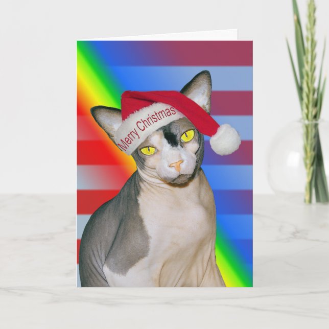Sphynx Cat Ninja Santa Christmas Rainbow Card (Front)