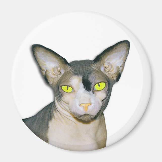 Sphynx Cat Ninja White Round Magnet (Front)