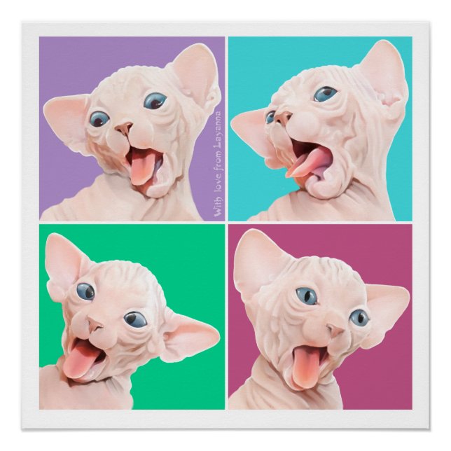 Sphynx cat poster (Front)
