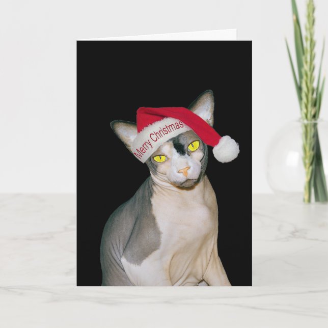 Sphynx Cat Santa Black Christmas Card (Front)