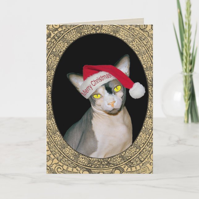 Sphynx Cat Santa Christmas Card (Front)