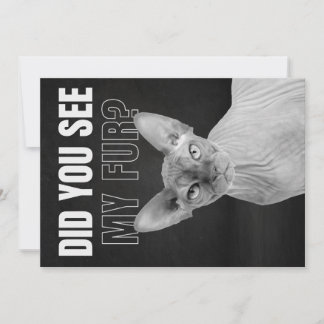 Sphynx Cat Sarcastic Fur Humor Illustration Holiday Card