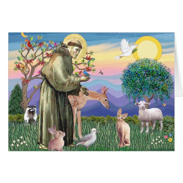 Sphynx Cat - St Francis (Front Horizontal)