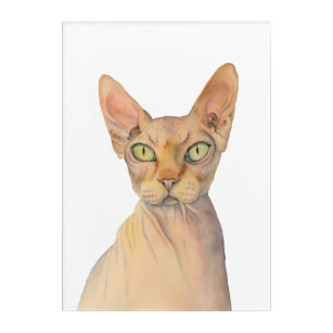Sphynx Cat Watercolor Portrait Acrylic Print