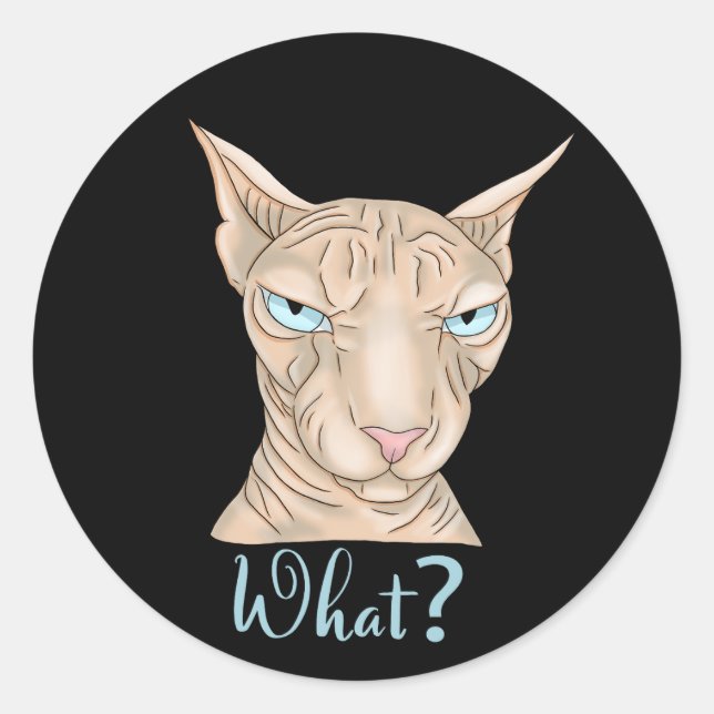 Sphynx Cat. What?  Classic Round Sticker (Front)