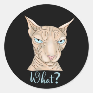Sphynx Cat. What?  Classic Round Sticker