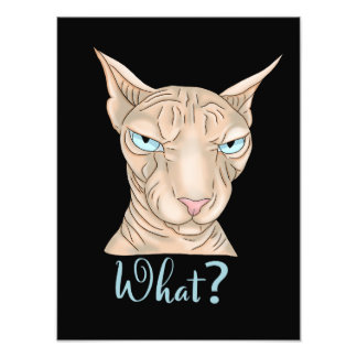 Sphynx Cat. What? Photo Print