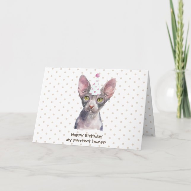 Sphynx Cat with Party Hat Card (Front)