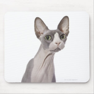 Sphynx Cat with surprised expression Mouse Mat