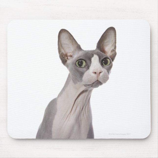 Sphynx Cat with surprised expression Mouse Mat (Front)