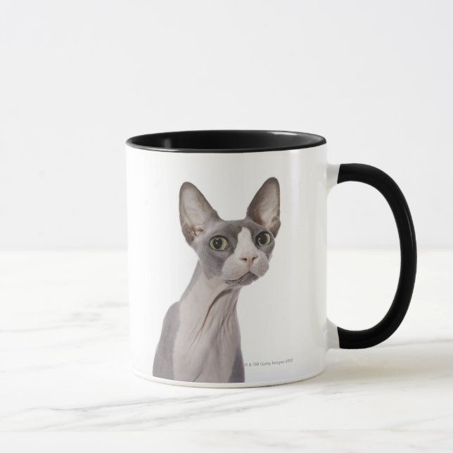 Sphynx Cat with surprised expression Mug (Right)