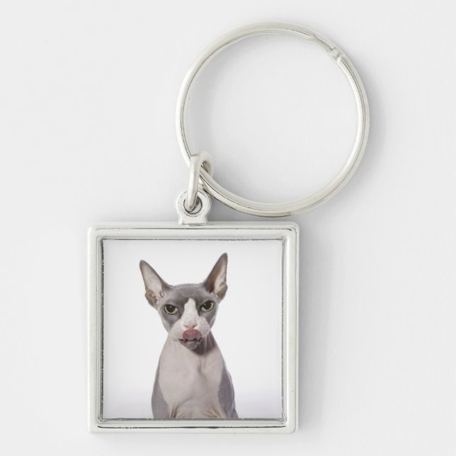 Sphynx Cat with tongue out Key Ring (Front)