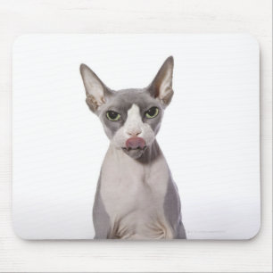 Sphynx Cat with tongue out Mouse Mat