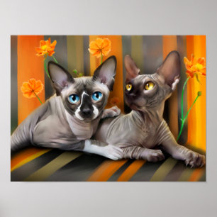 Sphynx cats poster