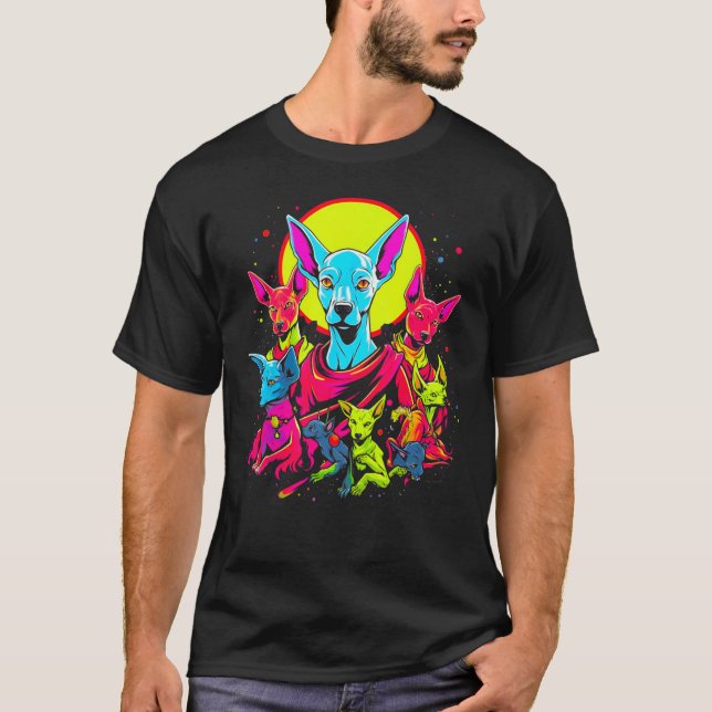Sphynx Hairless Cat Abstract Art T-Shirt (Front)