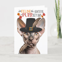 Sphynx Hairless Cat Grateful for PURRkey Day