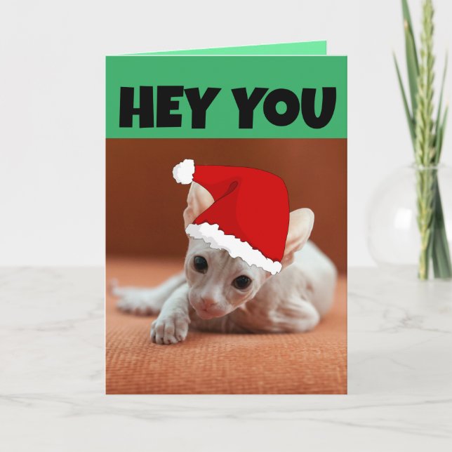  SPHYNX HAIRLESS CAT KITTEN CHRISTMAS CARD (Front)