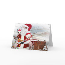 Sphynx Kitten Christmas With Santa