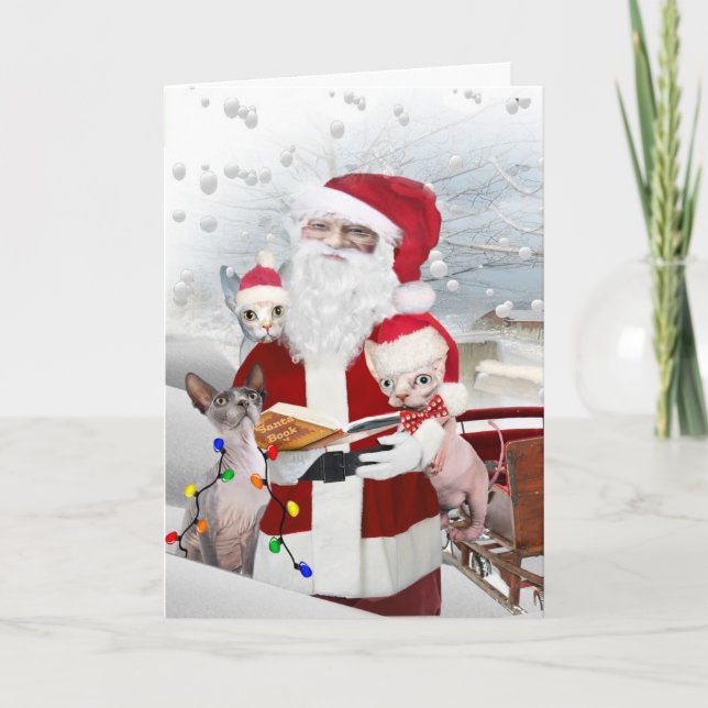 Sphynx Kitten's A Look At Santa's Book Holiday Card (Front)