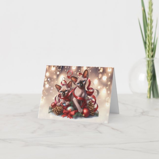 Sphynx Kittens Christmas Card (Front)