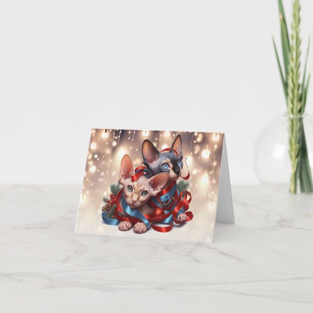 Sphynx Kittens Christmas Card (Front)