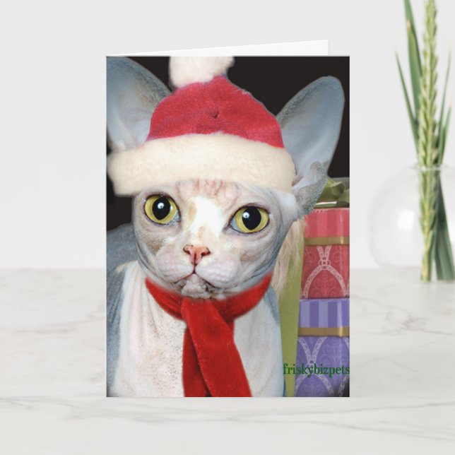 Sphynx Santa Cat Holiday Card (Front)