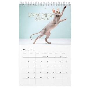 Sphynx Speaks: Editable Monthly Cat Humor Art Calendar