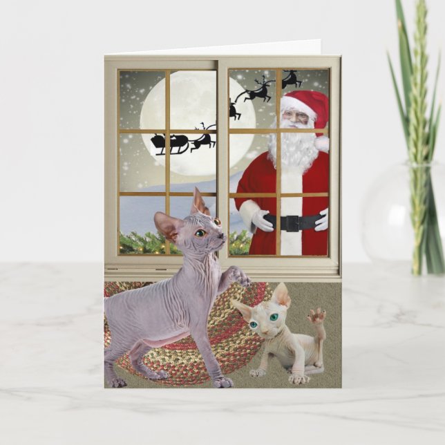 Sphynx Watching For Santa Art Holiday Card (Front)